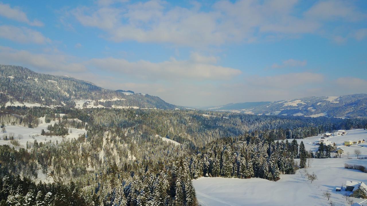Appartment Bodensee Alberschwende Eksteriør bilde